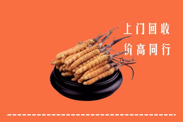 高价求购：鹰潭回收散虫草