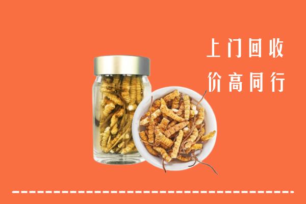鹰潭回收冬虫夏草