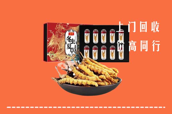 鹰潭回收虫草